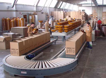 Zoffoli Production Line
